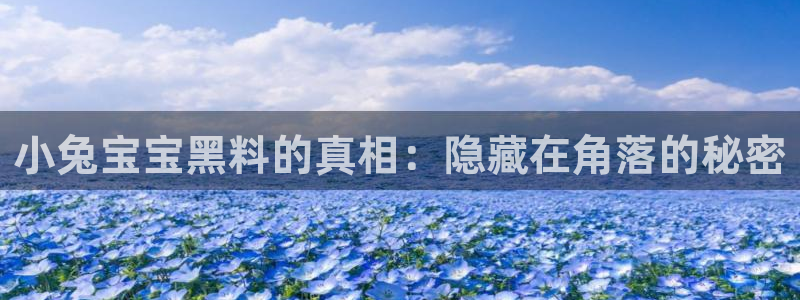 顶流男星被曝隐瞒婚史，前妻晒出聊天记录实锤