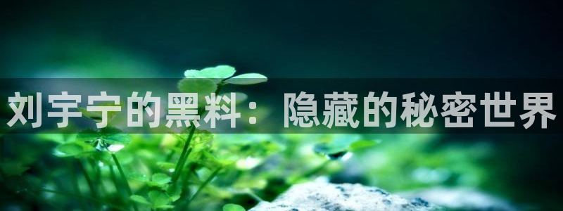 顶流男星被曝隐瞒婚史，前妻晒出聊天记录实锤