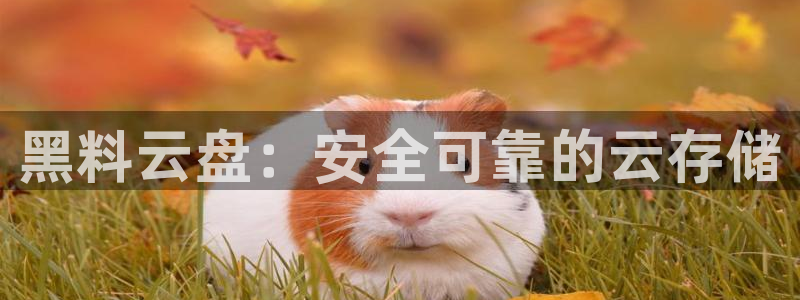 顶流男星被曝隐瞒婚史，前妻晒出聊天记录实锤